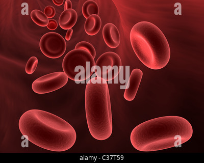 Arteria con le cellule del sangue Foto Stock