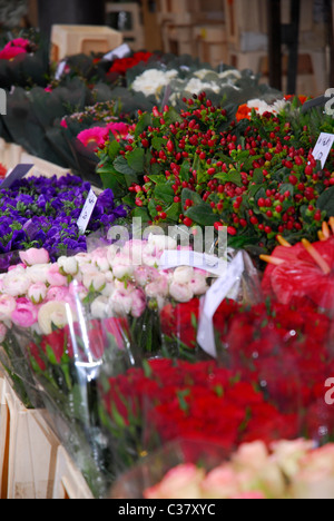 Fiori al mercato Foto Stock