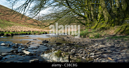 Il fiume Barle, Simonsbath,Exmoor,North Devon Foto Stock