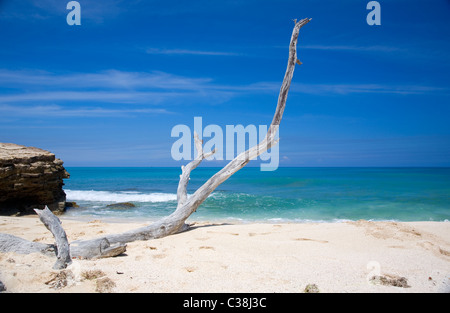 Runaway Beach sull'isola di Antigua Foto Stock