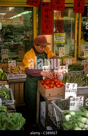 Mercato di generi alimentari, frutta e verdura fornitore, Chinatown, la città di Vancouver, British Columbia Provincia, Canada Foto Stock