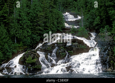 Butedate cade in Butedale una città fantasma sulla Princess Royal Island a Kitimat a Stikine lungo il passaggio interno in British Columbia Provincia del Canada Foto Stock