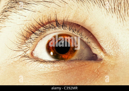 Brown man's eye closeup Foto Stock