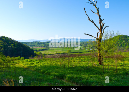 Vista da sette isole Wildlife Refuge a Knoxville, in Tennessee Foto Stock