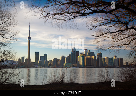 Downtown Toronto skyline, compresa la CN Tower e il Rogers Centre, come si è visto nel tardo pomeriggio dal Centro Isola Foto Stock