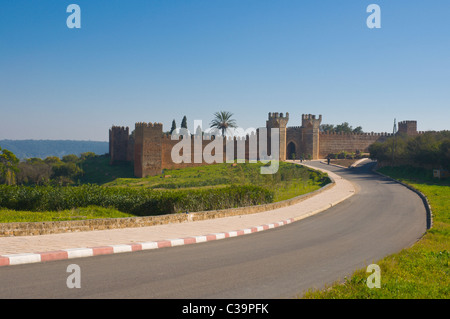 Chellah la necropoli Rabat capitale del Marocco Foto Stock