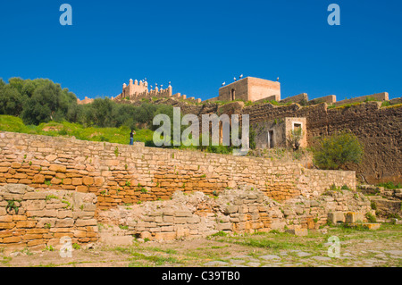 Chellah la necropoli Rabat capitale del Marocco Foto Stock