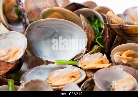 Appena le vongole cotte al vapore serviti con prezzemolo tritato Foto Stock