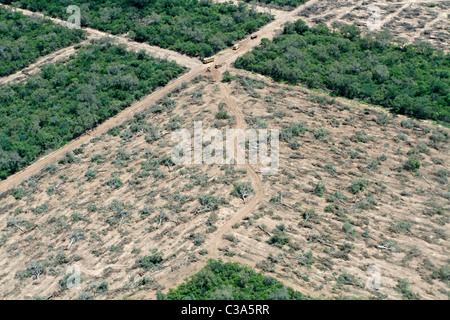 La deforestazione in Gran Chaco vicino a Mariscal Estigarribia, Paraguay Foto Stock