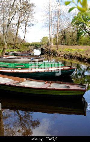 Legno di piccole imbarcazioni a remi legato sulle rive di questo piccolo canale, pronto per essere prelevato nel lago. Foto Stock