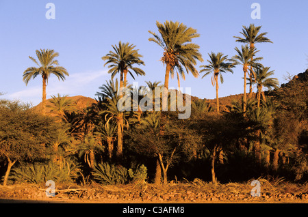 Niger, Sahara, l'oasi di Timia nel massiccio montagnoso di aria Foto Stock