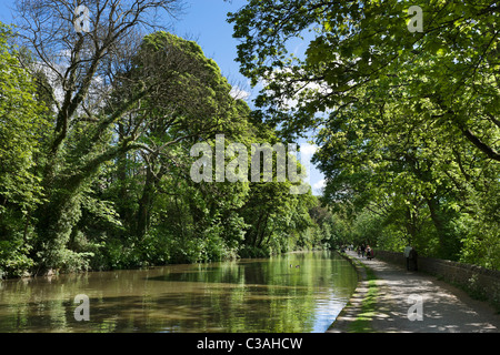 Il sentiero pedonale lungo le rive del Leeds e Liverpool Canal al fondo di aumento di cinque serrature, Bingley, West Yorkshire, Regno Unito Foto Stock