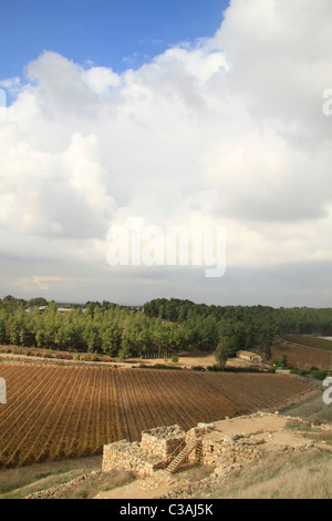 Israele, Shephelah,Tel Lachis, il sito della biblica Lachis, la porta della città Foto Stock