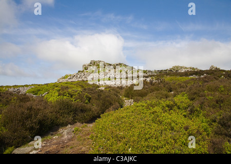 Inghilterra UK potrebbe Il Stiperstones Riserva Naturale Nazionale in Shropshire Hills AONB è coperto in whinberry e piante di erica Foto Stock