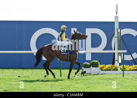 Chiara lode jockey Nicky MacKay in sella per la Al Rayan picchetti di Handicap 2011 Newmarket race course Suffolk REGNO UNITO Foto Stock