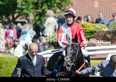 Mare di Heartbreak 2° in Qatar Bloodstock Dahlia Stakes 2011 jockey Steve Drowne in parade ring Newmarket race course Suffolk REGNO UNITO Foto Stock