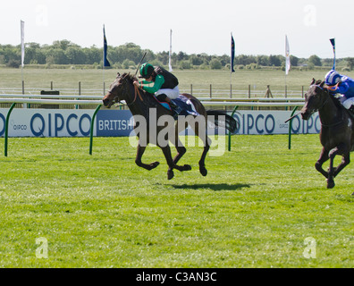 'Times up' cavalcato da Richard Hughes QIPCO vincente British Champions Stakes 2011 Newmarket race course Suffolk REGNO UNITO Foto Stock