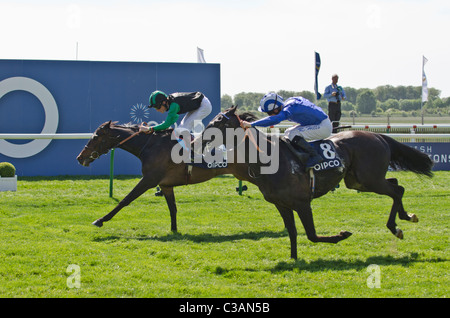 'Times up' cavalcato da Richard Hughes QIPCO vincente British Champions Stakes 2011 Newmarket race course Suffolk REGNO UNITO traguardo. Foto Stock