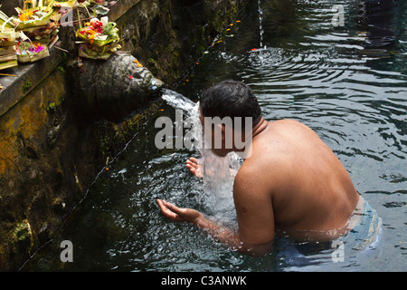BALINESE di purificarsi da bagno nella pura Tirta Empul un tempio Hindu e cold springs - TAMPAKSIRING, Bali, INDONESI Foto Stock