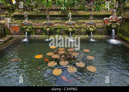 KOI in uno stagno a Pura Gunung Kawi, un Indù acqua tempio dedicato al dio della sapienza VISHNU - SEBATU, Bali, Indonesia Foto Stock