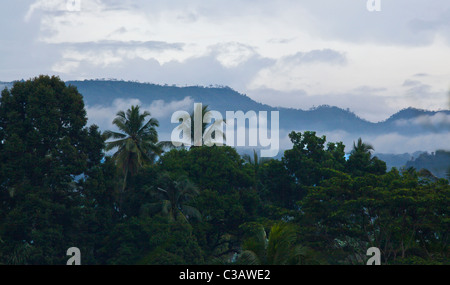 Le boscose pendici del sacro Gunung Agung le isole più alto picco vulcanico - Bali, Indonesia Foto Stock