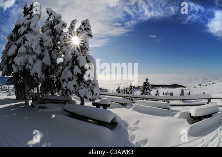 Inverno giornata soleggiata nelle Alpi slovene. Velika planina altopiano. Foto Stock