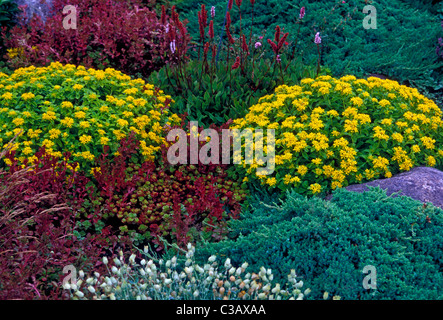 Giardino di Roccia blend Kingsbrae Giardino dell'Orticultura cittadina di St Andrews New Brunswick Provincia del Canada America del Nord Foto Stock