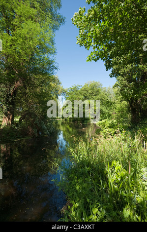 Il fiume Wandle serpeggianti attraverso ombrosi boschi a Morden Hall Park nel sud-ovest di Londra. Foto Stock