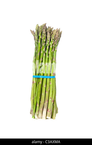 Un mazzetto di asparagi freschi culmi su sfondo bianco Foto Stock