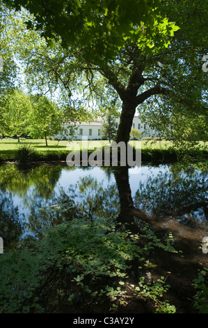 Il fiume Wandle serpeggianti attraverso ombrosi boschi a Morden Hall Park nel sud-ovest di Londra. Foto Stock