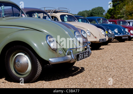 Volkswagen Coleotteri a Stanford Hall, Regno Unito Foto Stock