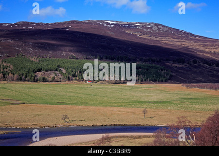 Vista su tutta la valle di Dee a Carn na Drochaide, vicino a Braemar, Aberdeenshire, Scotland, Regno Unito. Foto Stock