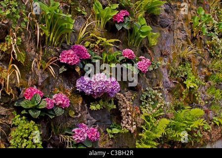 Villa Carlotta und der berühmte botanische Garten Foto Stock