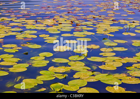 Idyllischer Gebirgssee Lago di Piano Foto Stock