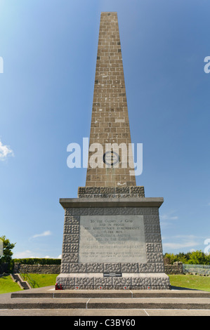 Monumento Knockagh, Carrickfergus. Memoriale di soldati che morirono nella WW1 e WW2 come pure altri conflitti Foto Stock