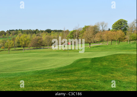 Una bella vista sul campo da golf con golf bandiera Foto Stock