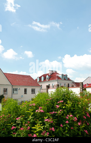 Paesaggio con tetti rossi, fiori e cielo blu Foto Stock