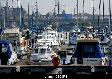 Barche ormeggiate in Chatham Maritime Marina. Foto di Gordon Scammell Foto Stock