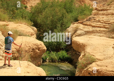 Israele, Nahal Arugot nel deserto della Giudea Foto Stock