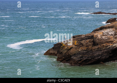 Un uomo pesca su Barras naso scogliera a Cornwall Inghilterra UK English Heritage Foto Stock