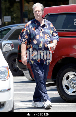 Brian Wilson ex frontman dei Beach Boys lasciando un deli in Hollywood indossando un stile hawaiano shirt Los Angeles, Foto Stock