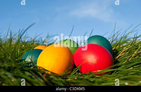 Colorate le uova di Pasqua giacente in erba verde Foto Stock