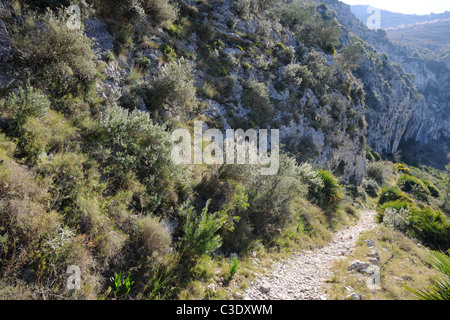 Mozarabo mulattiera (ora utilizzato da escursionisti) costruito dai mori, Benimaurell, Vall de Laguart, provincia di Alicante, Valencia, Spagna Foto Stock