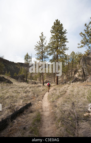 L'uomo escursionismo in Northrup Canyon Area Naturale, Grant County, Washington Foto Stock