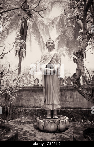 Buddha, Wat Choum Khong Soulinthaham Foto Stock