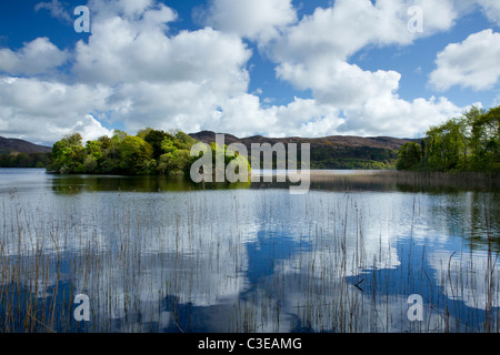 Estate riflessioni, Lough Gill, nella contea di Sligo, Irlanda. Foto Stock