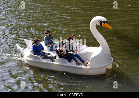 Swan pedalò sul fiume Avon, Warwick, Warwickshire, Inghilterra, Regno Unito Foto Stock