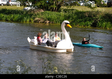 Swan pedalò sul fiume Avon, Warwick, Warwickshire, Inghilterra, Regno Unito Foto Stock