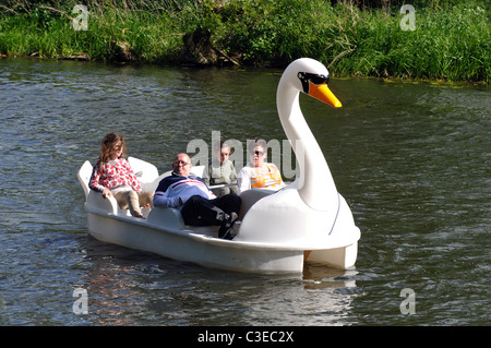 Swan pedalò sul fiume Avon, Warwick, Warwickshire, Inghilterra, Regno Unito Foto Stock