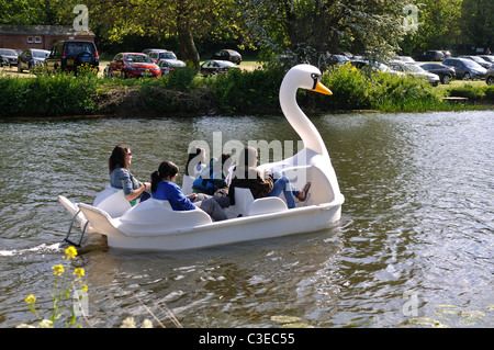 Swan pedalò sul fiume Avon, Warwick, Warwickshire, Inghilterra, Regno Unito Foto Stock